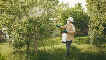woman in hat and mask spraying a tree in a garden with pesticides