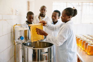 Understanding Honey Prices in Kenya: Factors and 2026 Trends 2
